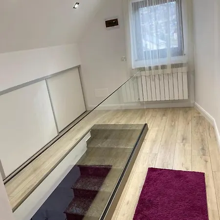 Gasthof Pensiunea Casa Zanet *