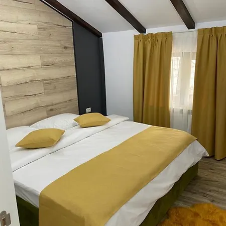Gasthof Pensiunea Casa Zanet Borşa