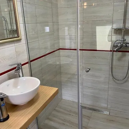 Pensiunea Casa Zanet *