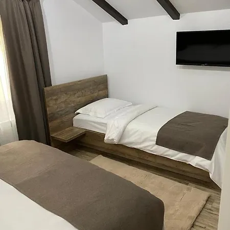 Pensiunea Casa Zanet Borşa