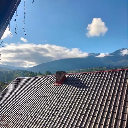 Pensiunea Casa Zanet * Borşa