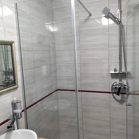 Gasthof Pensiunea Casa Zanet *