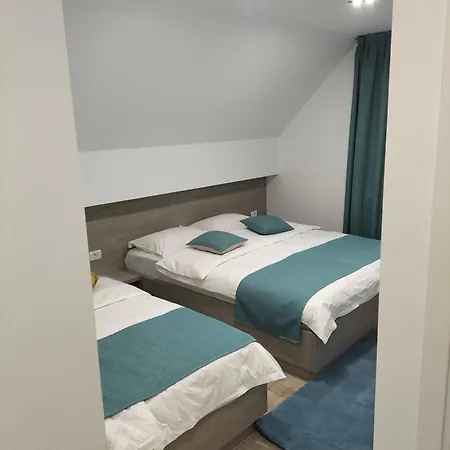 Pensiunea Casa Zanet *