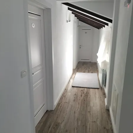 Pensiunea Casa Zanet Gasthof *